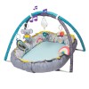 taf toys γυμναστήριο φωλιά Koala Musical Cosy Gym